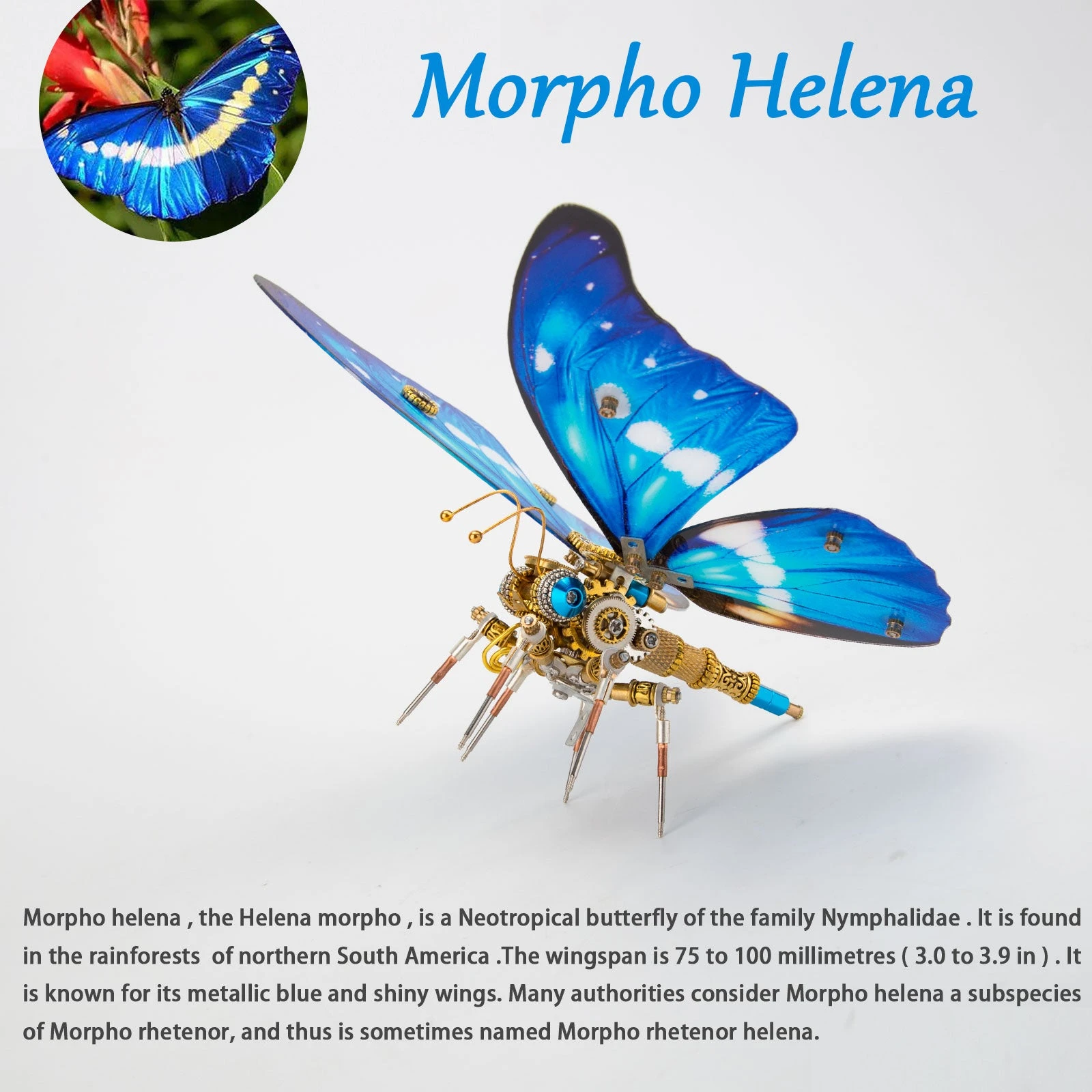 3D Metal Butterfly Model Kit, 3 In 1 Steampunk Butterfly (200PCS+/Blue) - Morpho Helena, Papilio Ulysses & Dichorragia Nesimachus - Image 7