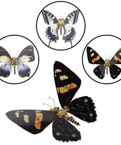 3D Metal Butterfly Model Kit, 3 In 1 Steampunk Butterfly (200PCS+/Black) - Calydonia, Vanessa Indica Herbst & Papilio Machaon