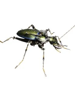 3D Metal Steampunk Craft Puzzle Mechanical Ground Beetle Model DIY Assembly Animal Jigsaw Puzzle Kit Games Creative Gift