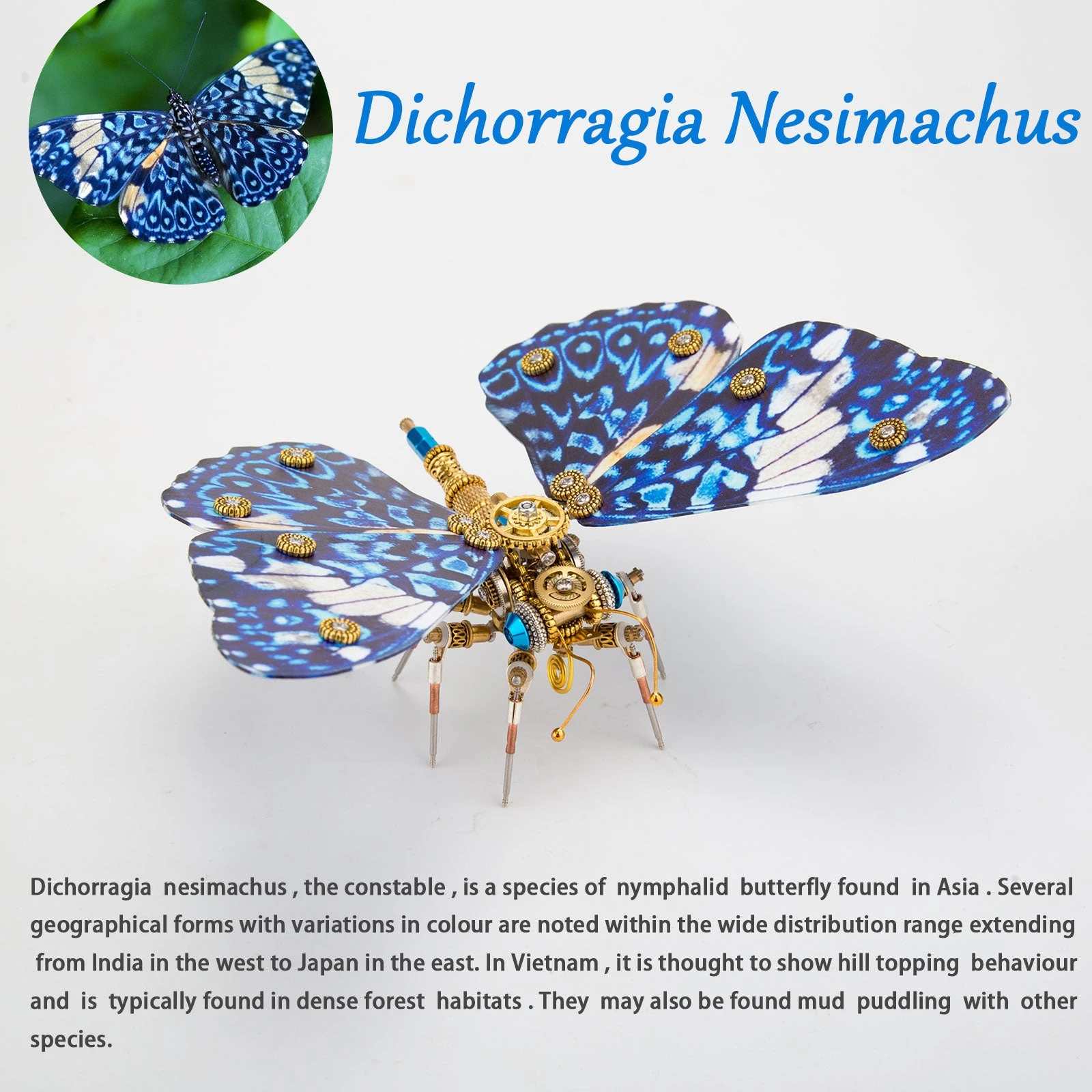 3D Metal Butterfly Model Kit, 3 In 1 Steampunk Butterfly (200PCS+/Blue) - Morpho Helena, Papilio Ulysses & Dichorragia Nesimachus - Image 8