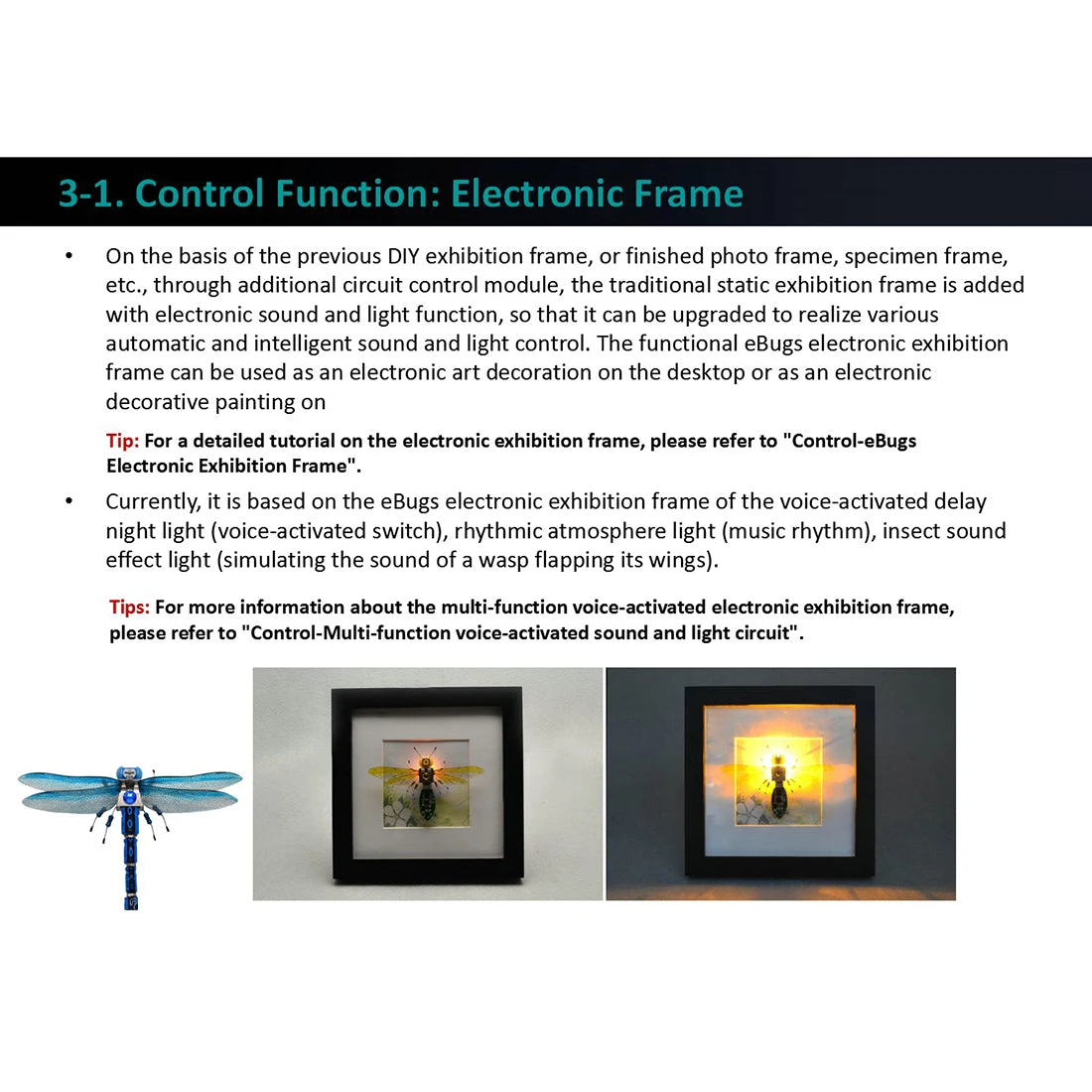 DIY Assembly Mechanical Insect Model Kits Handmade Scientific Toy Set With Voice-activated Photo Frame - Cicada (Random Color) - Image 7