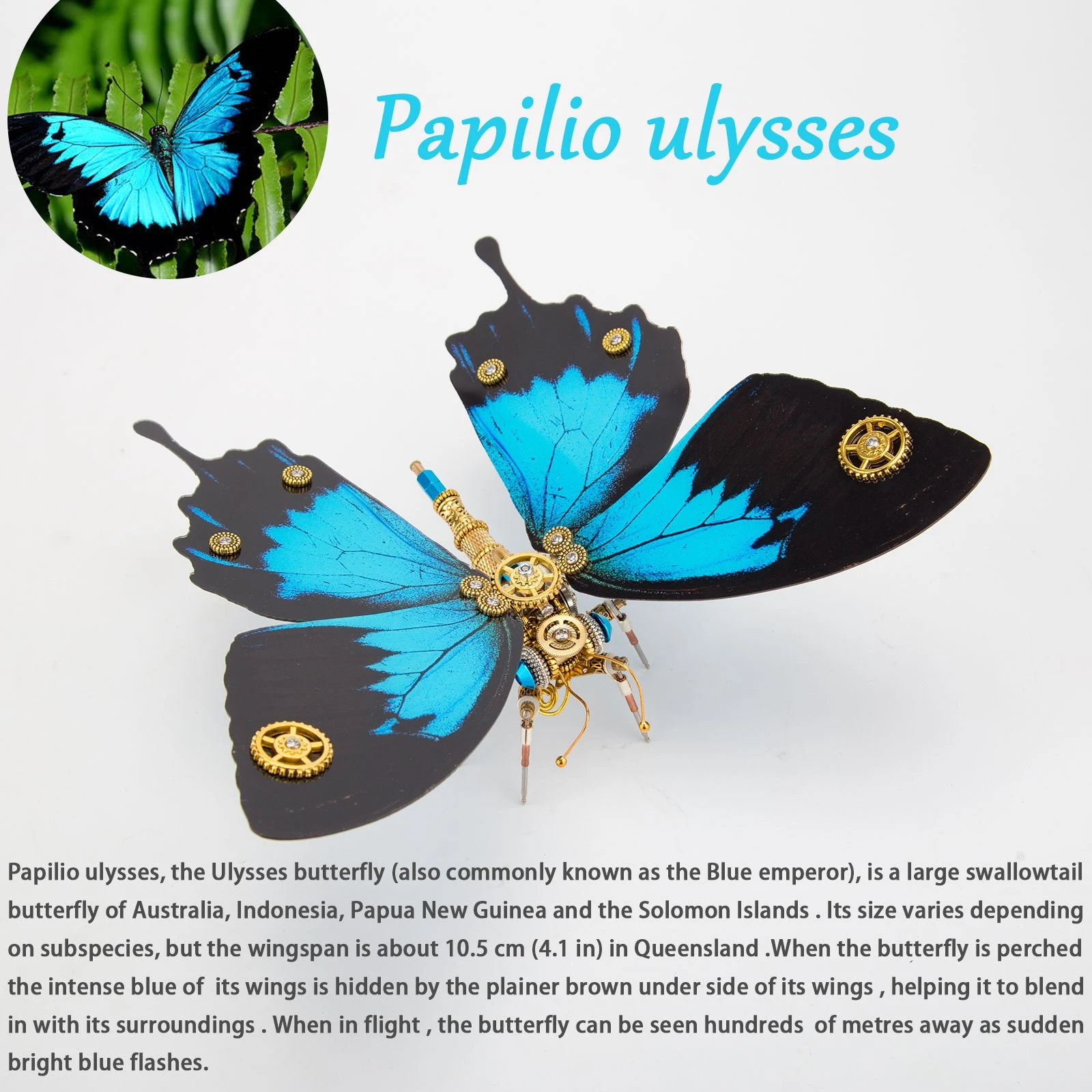 3D Metal Butterfly Model Kit, 3 In 1 Steampunk Butterfly (200PCS+/Blue) - Morpho Helena, Papilio Ulysses & Dichorragia Nesimachus - Image 6